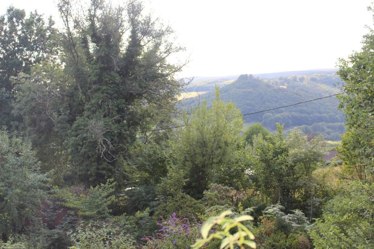 Relaxing Pet Friendly 2-Bed Cottage In Rhandirmwyn Llandovery Exterior foto