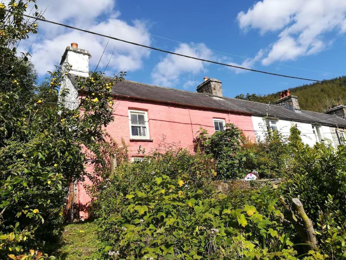 Relaxing Pet Friendly 2-Bed Cottage In Rhandirmwyn Llandovery Exterior foto