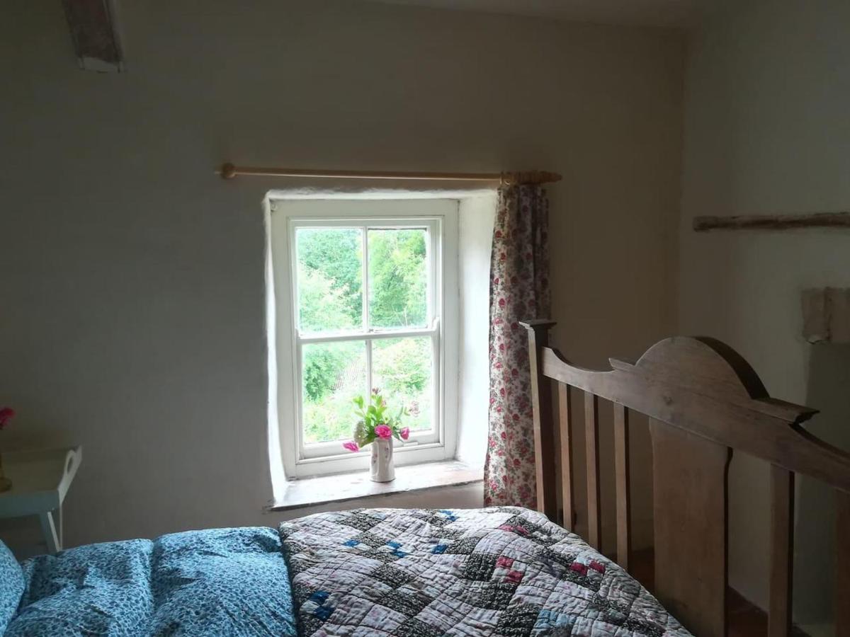 Relaxing Pet Friendly 2-Bed Cottage In Rhandirmwyn Llandovery Exterior foto